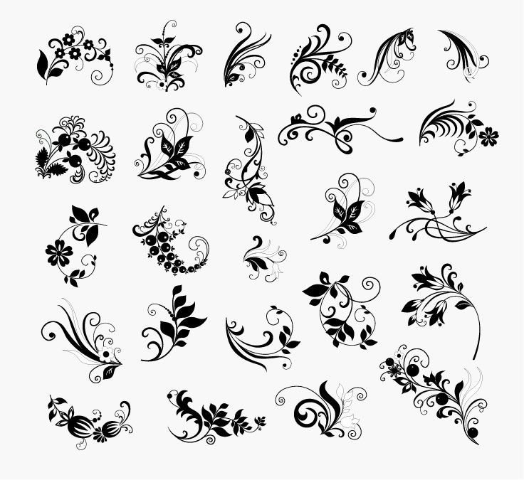 Vector Set of Floral Elements for Design