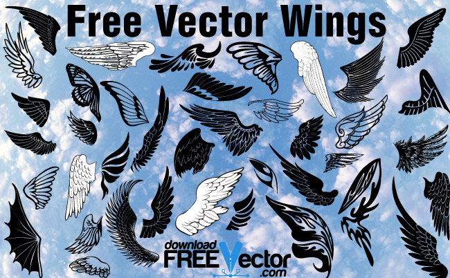 Free Vector Wings