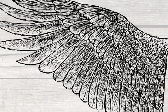 Hand Drawn Wings