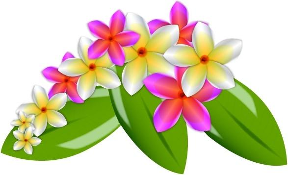 Plumeria Vector Flowers