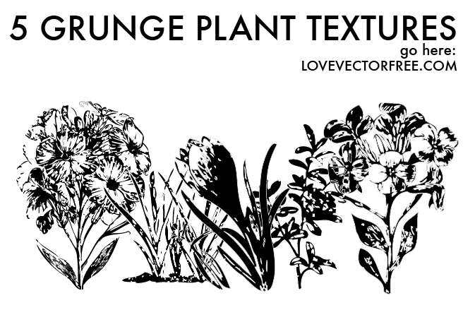 5 Grunge Plant Textures by LVF