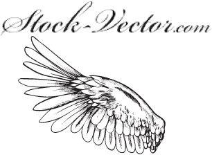 Free vector wing