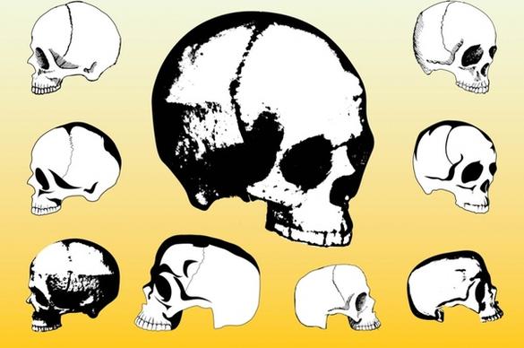 Free Skulls Vector Packs