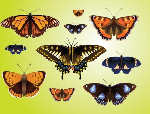 Realistic Butterfly Vectors