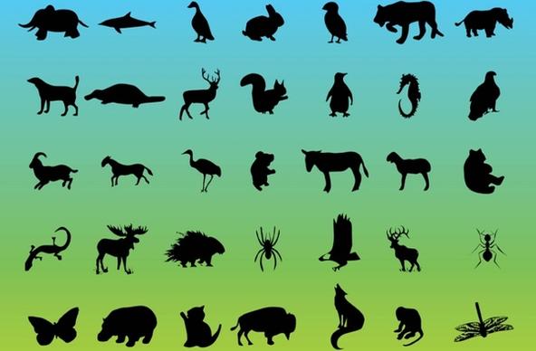 Wildlife Vector