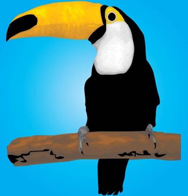 Toucan Bird