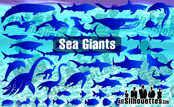 Sea & Ocean Giants