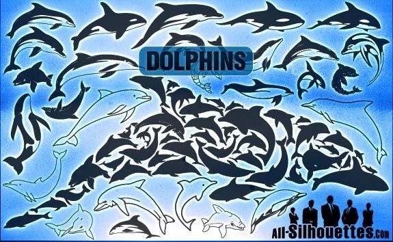 Vector Dolphins