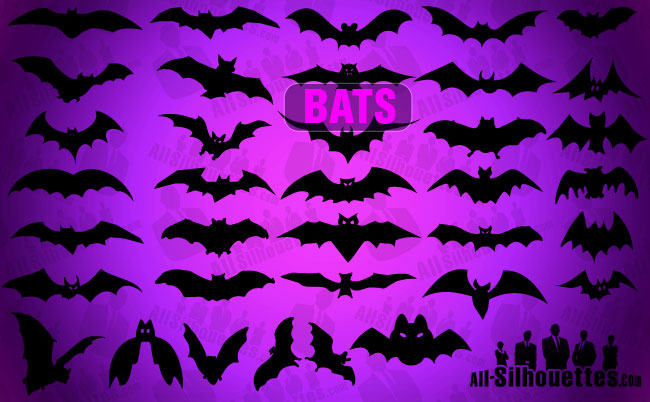 Vector Bats