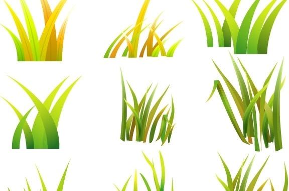 Vector Grass