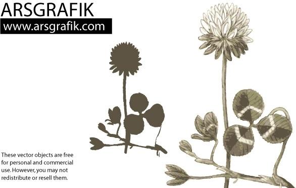 Dandelion Flower Vector