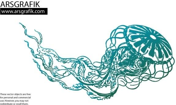 Jellyfish Vector