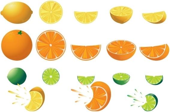 FREE CITRUS VECTORS