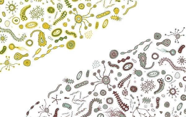 Bacteria Vector