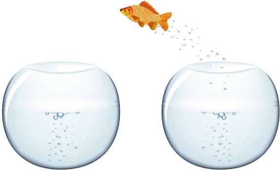 Jumping Goldfish