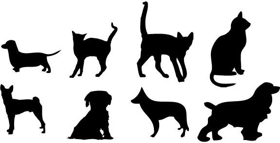 House animals Vector graphics