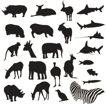 Animal silhouettes