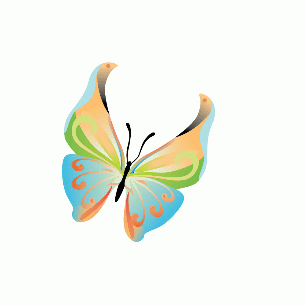 14 Colours butterfly vector