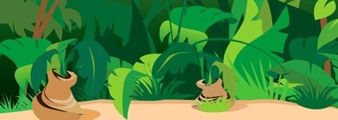 Jungle Scene Background 