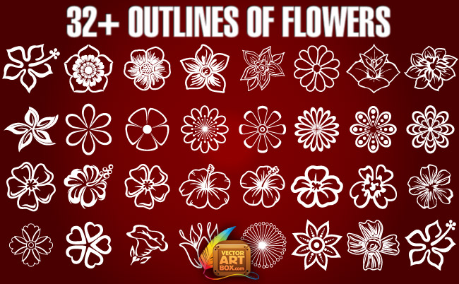 Outlines of Flowers