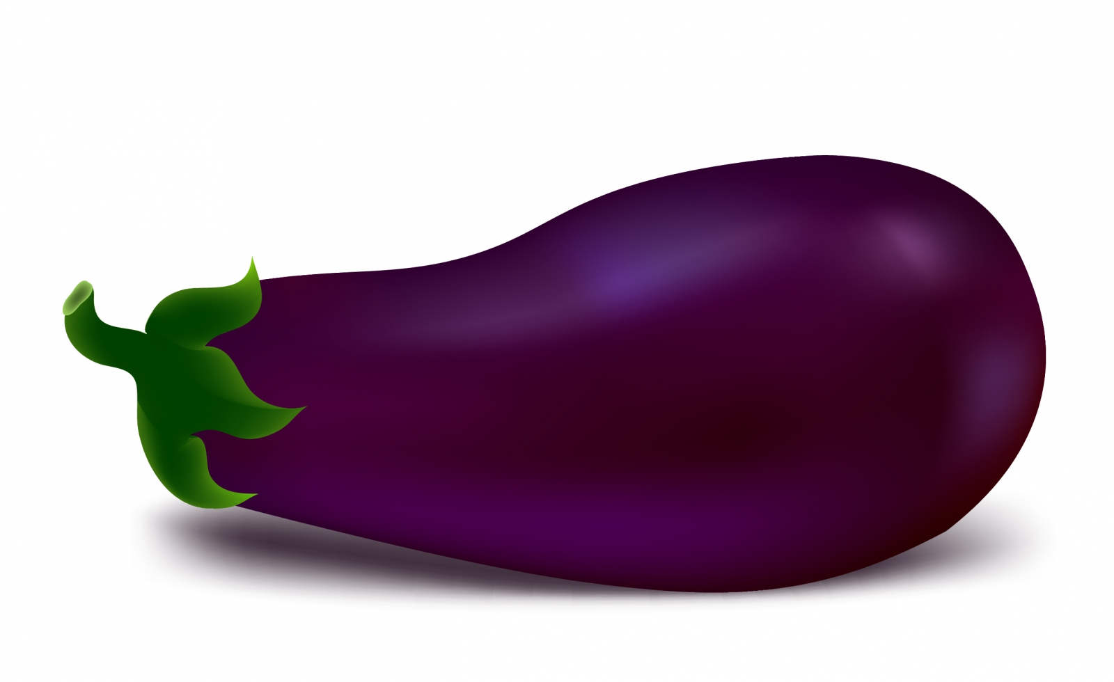 Egg plant icon flat modern shiny design 