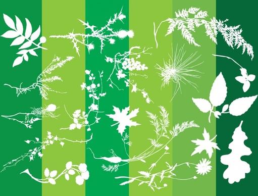 Plants Silhouettes Nature Graphics