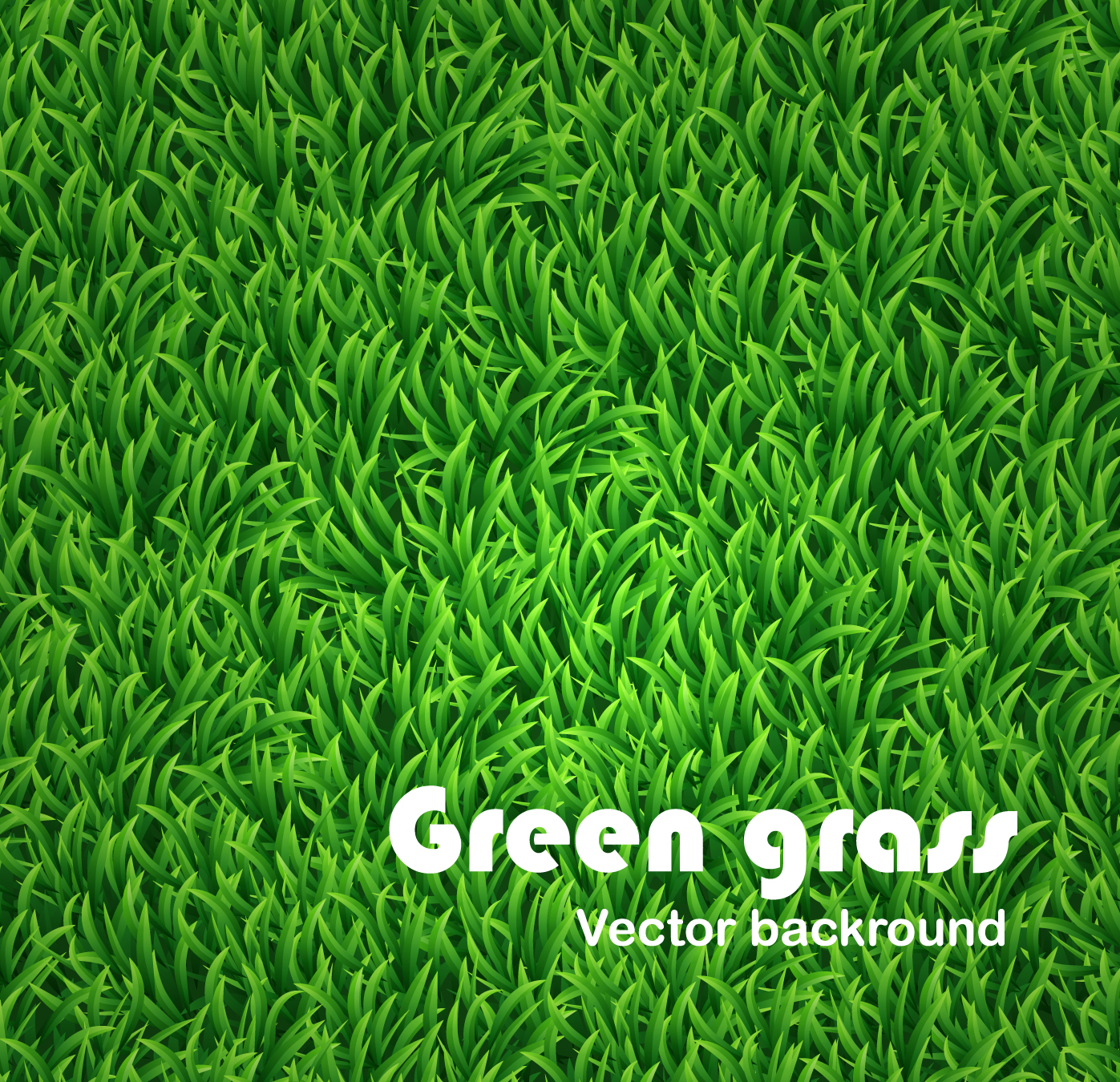 Green grass vector background