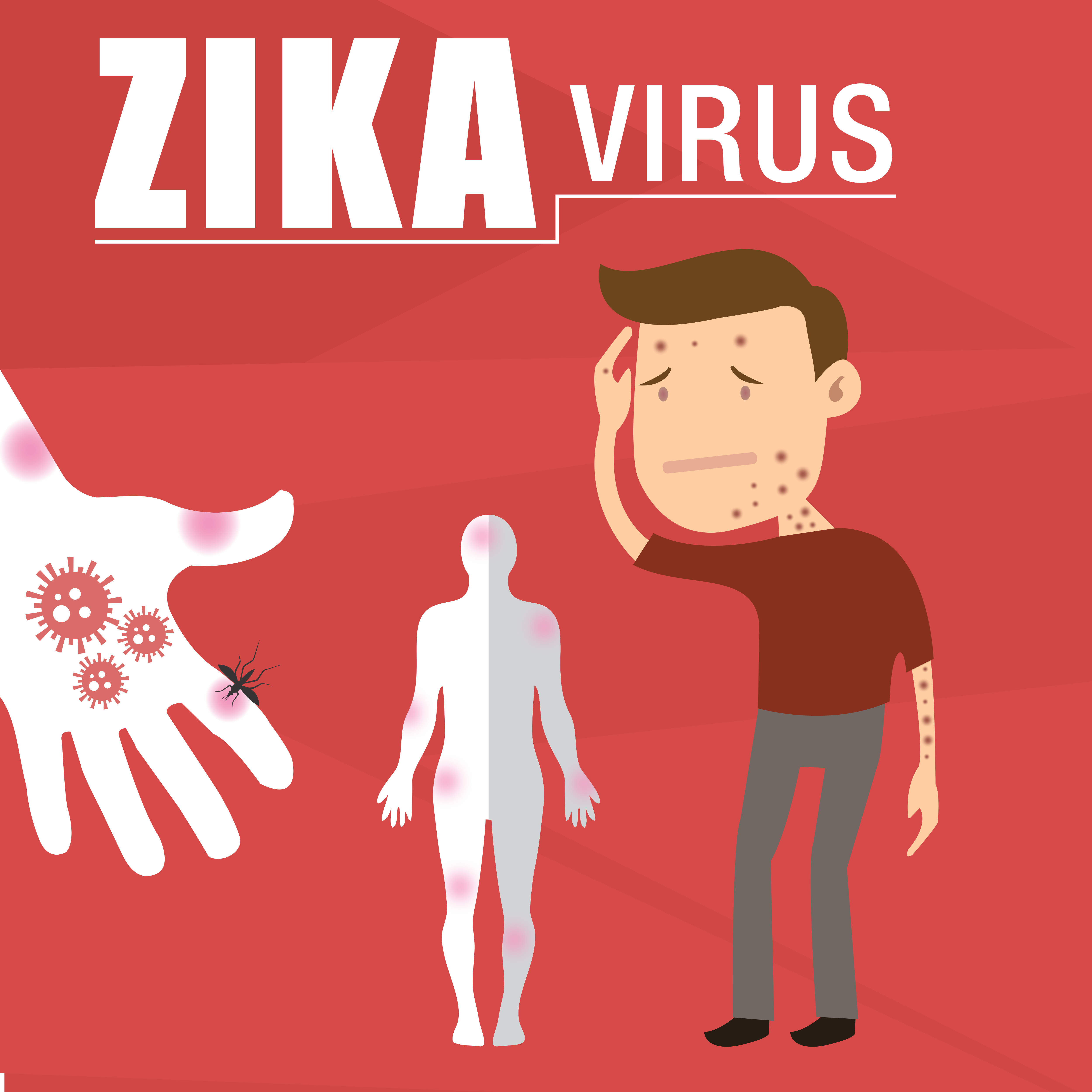 zika virus vector illustration