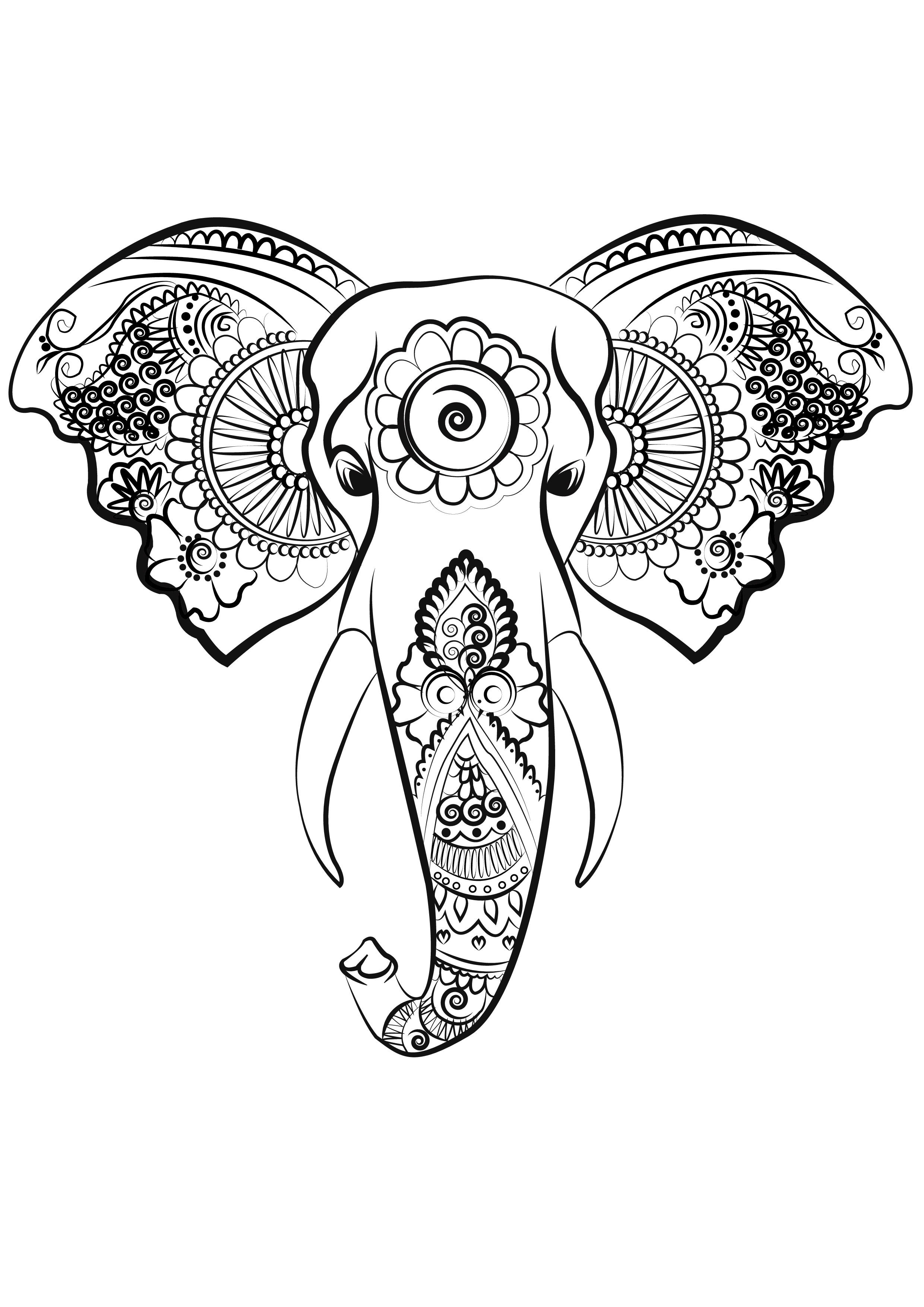 beautiful elephant line art vector