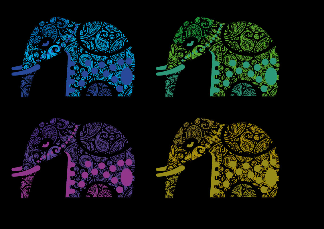 paisley pattern abstract indian elephant vector