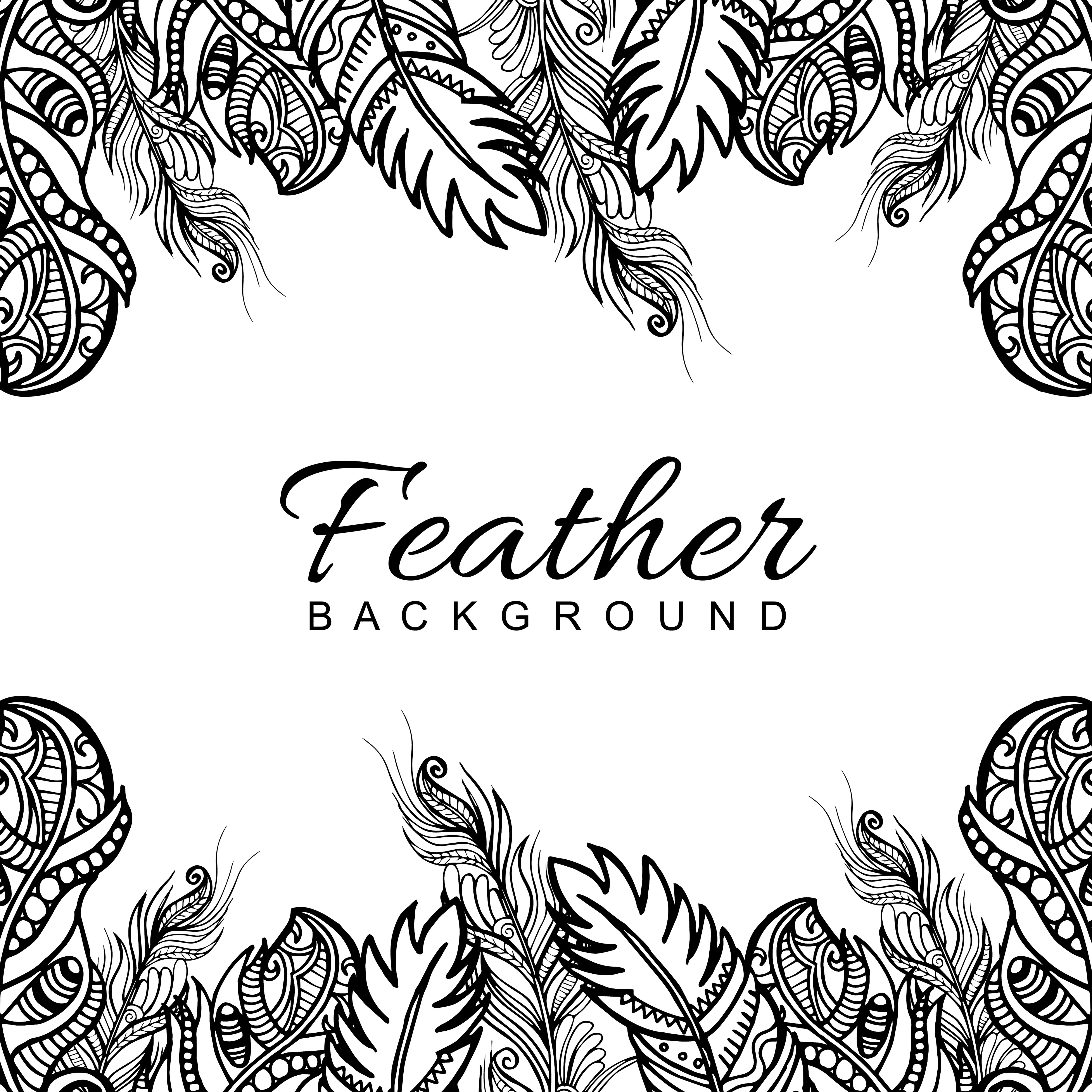 hand drawn black white feather frame background