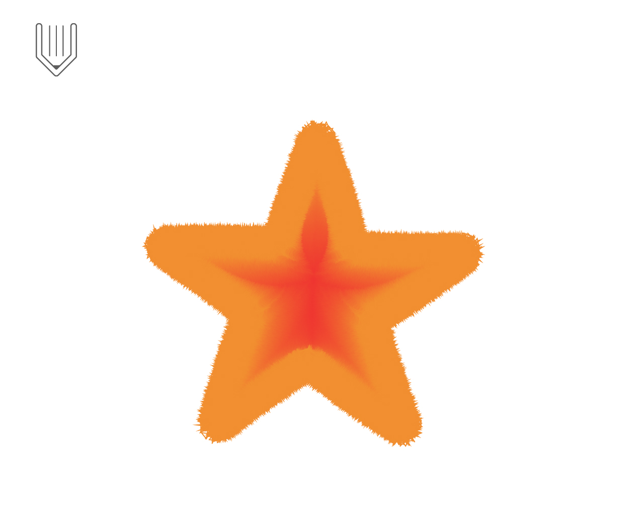 starfish vector illustration