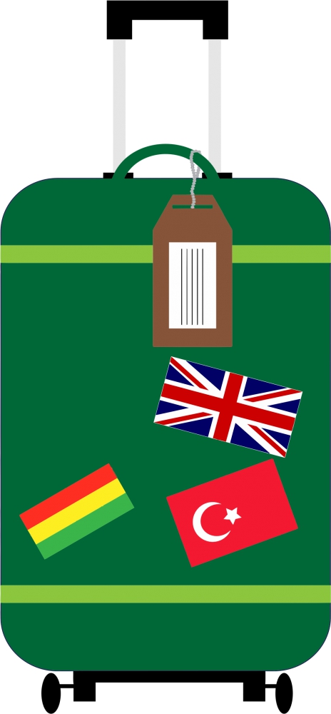 suitcase vector illustration with nations flags design tags