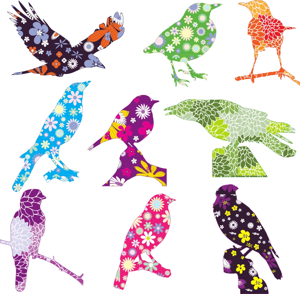 birds silhouetees illustration with floral background