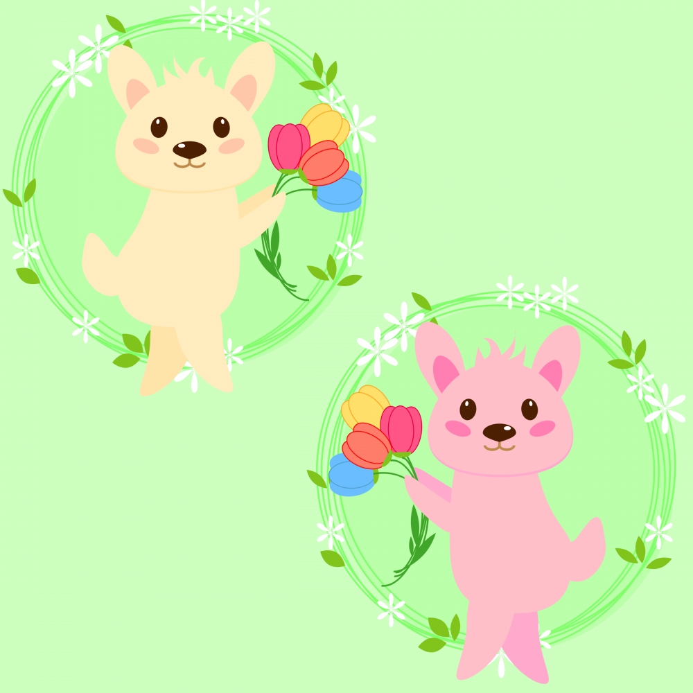 cute bunnies