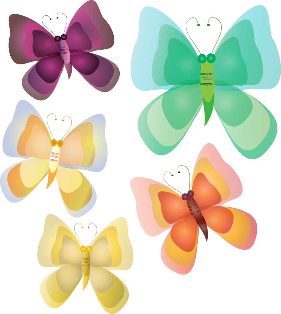 butterflies