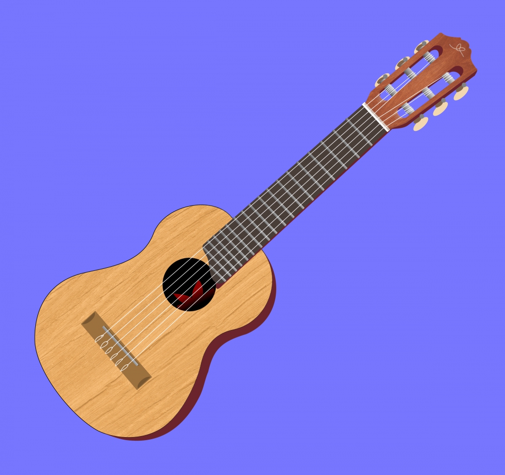 guitar