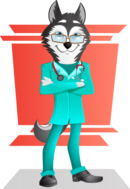 vector husky doctor