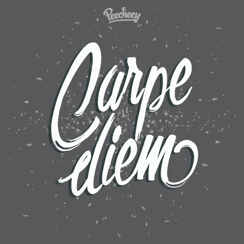 carpe diem seize the day poster