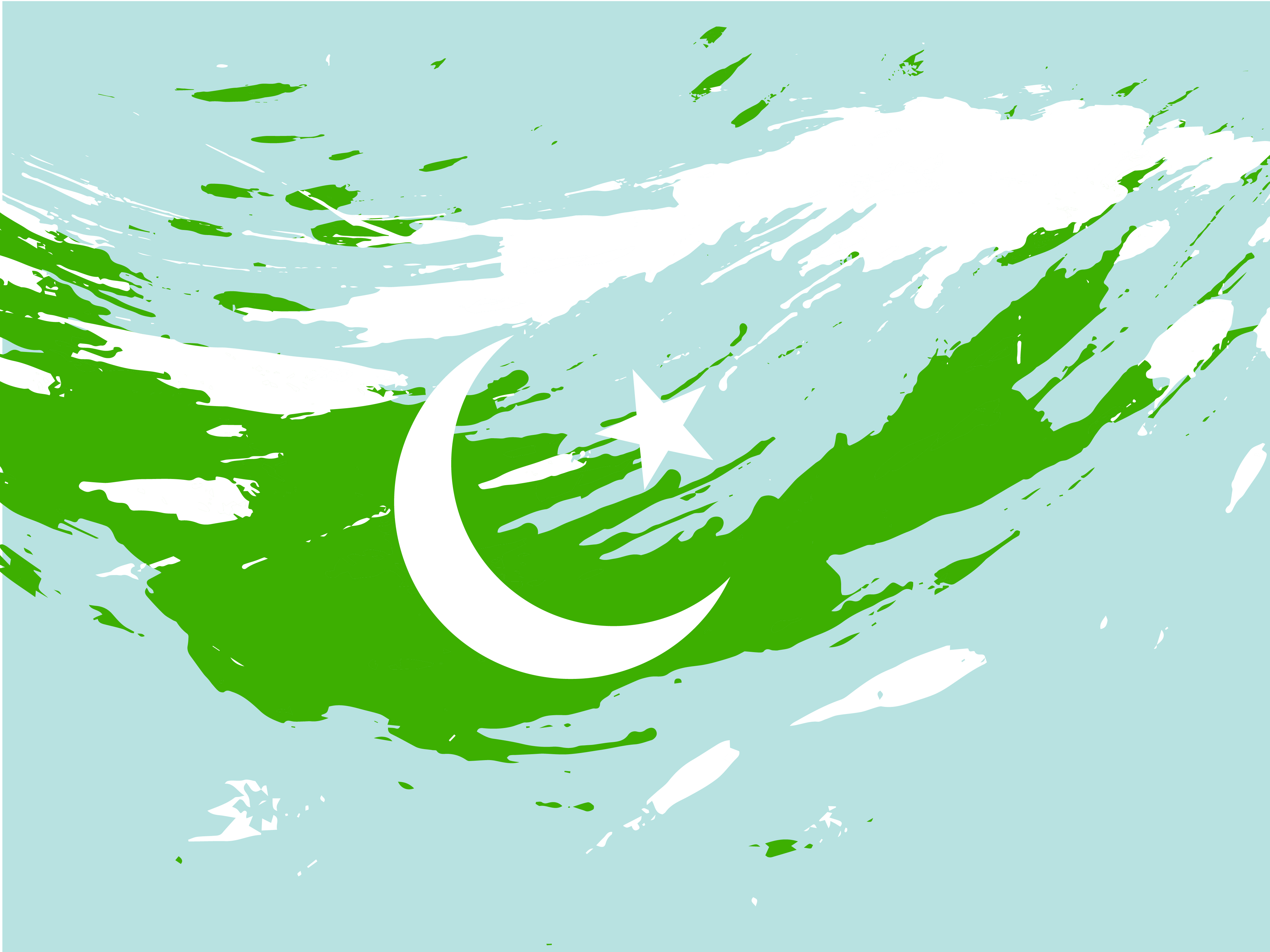 pakistani flag art