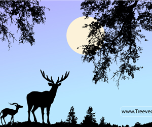 nature scene vector with deer