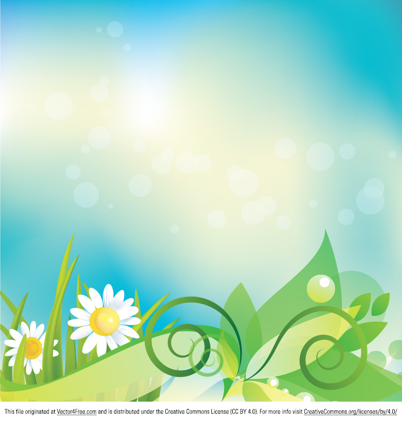 daisy vector background