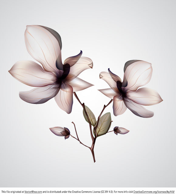 orchid flower vector