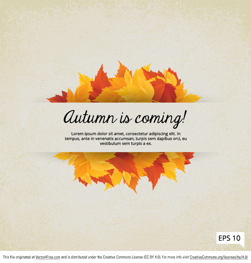 fall is coming leaves vector frame