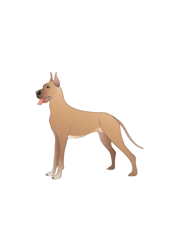 dog danish vector