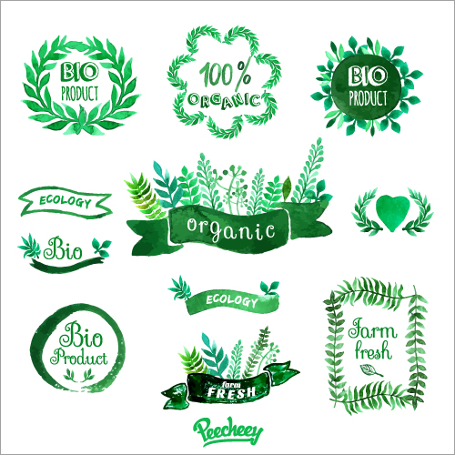 green watercolor stickers