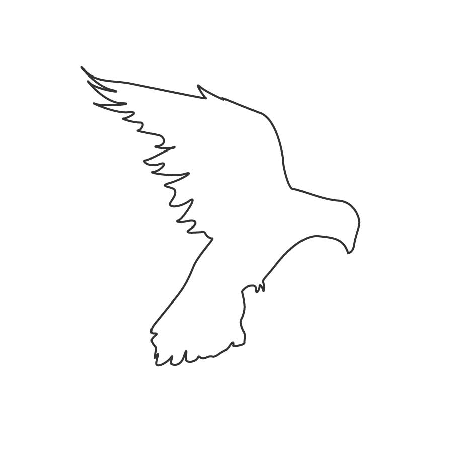 bird icon outline