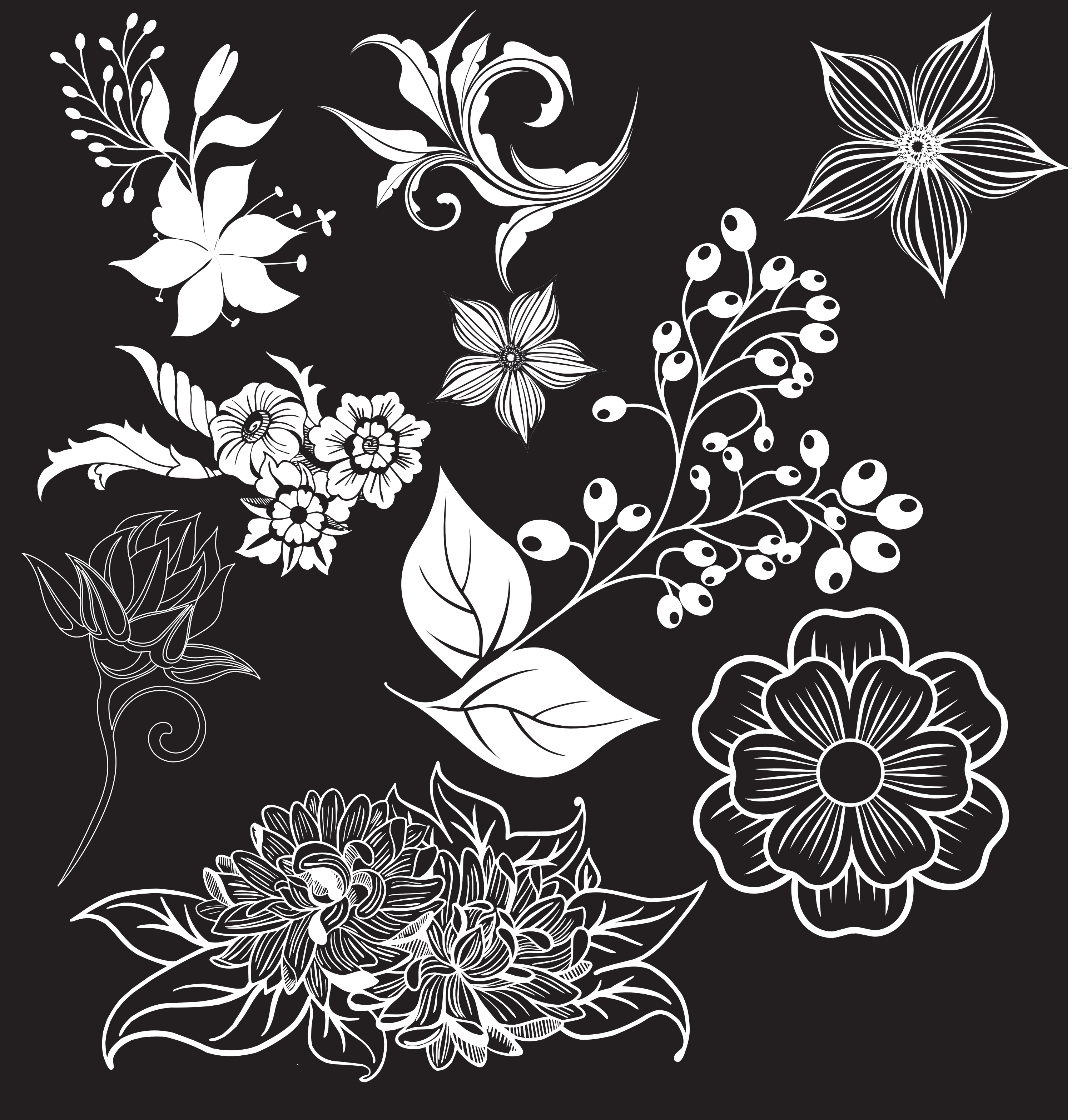 floral elements vector