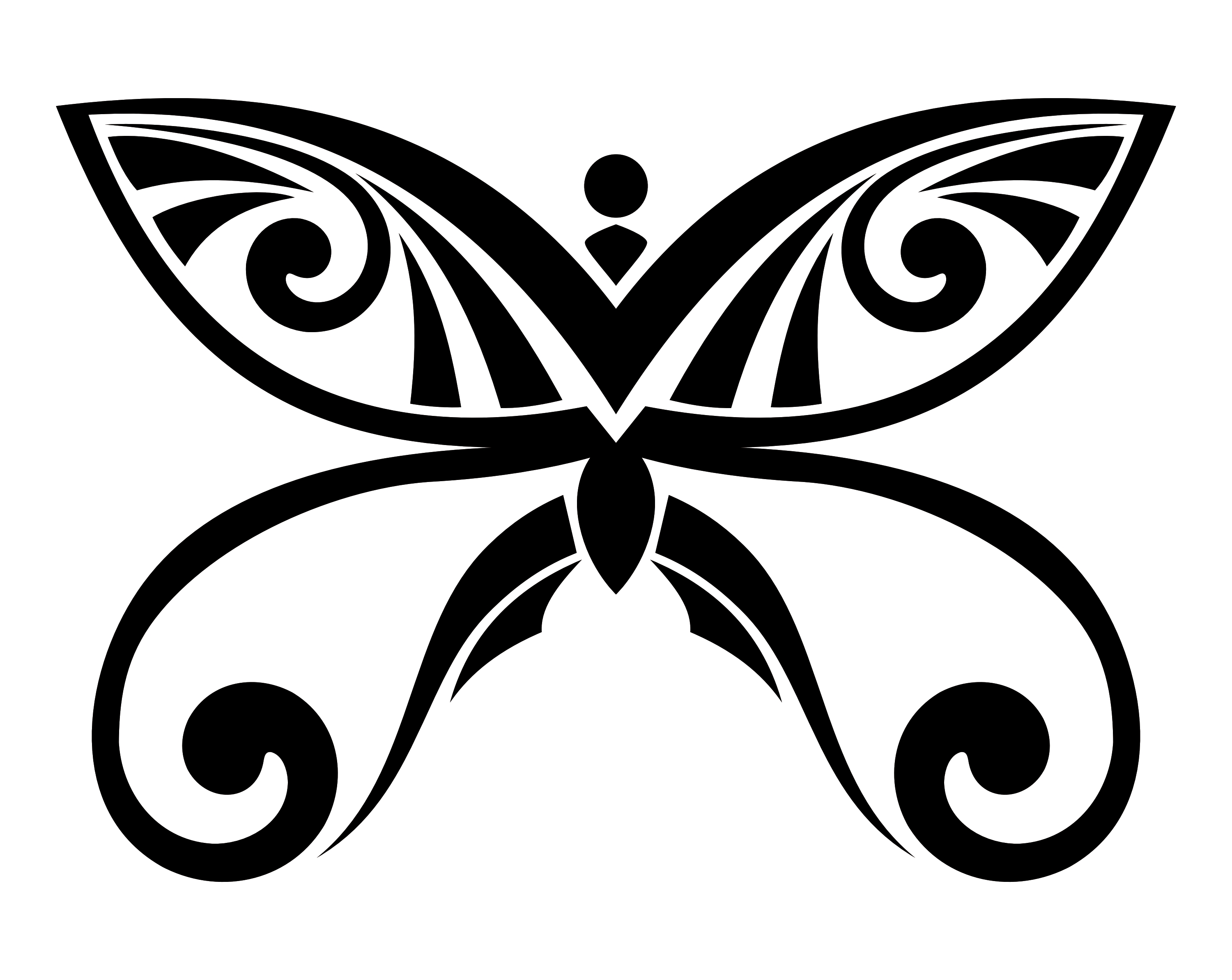 butterfly vector