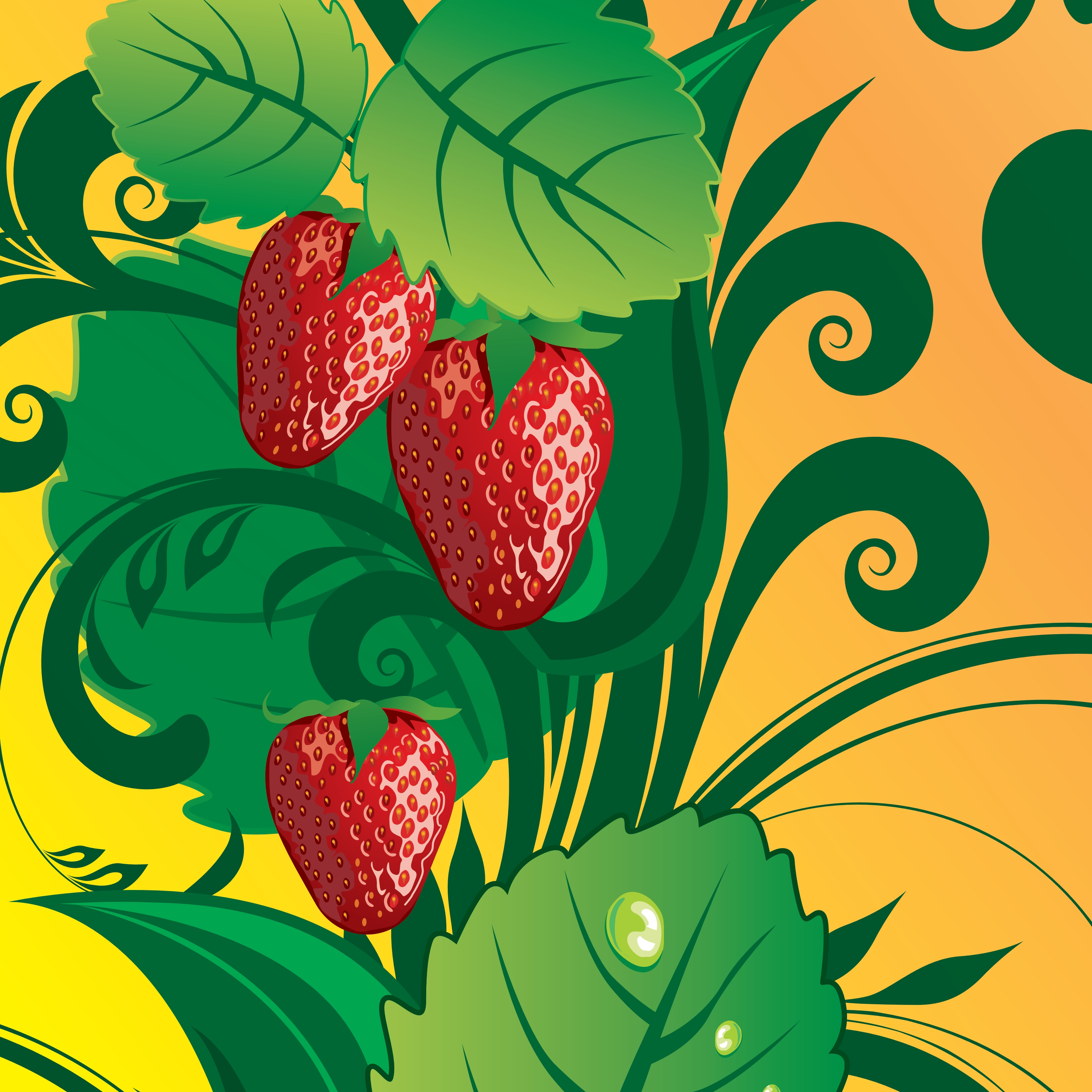 summer fruit vector